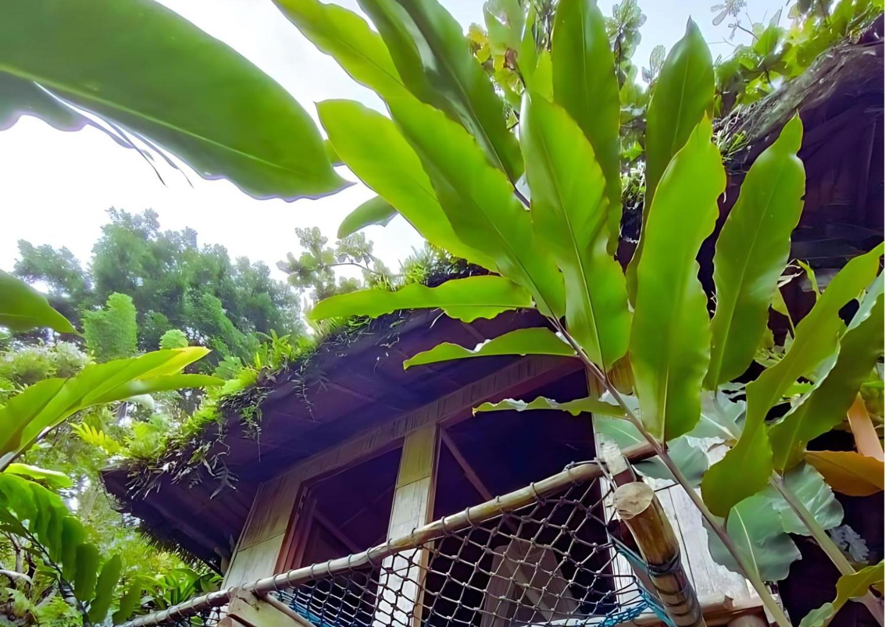 Canjahawon Nipa Hut Homestay Siquijor Exterior foto