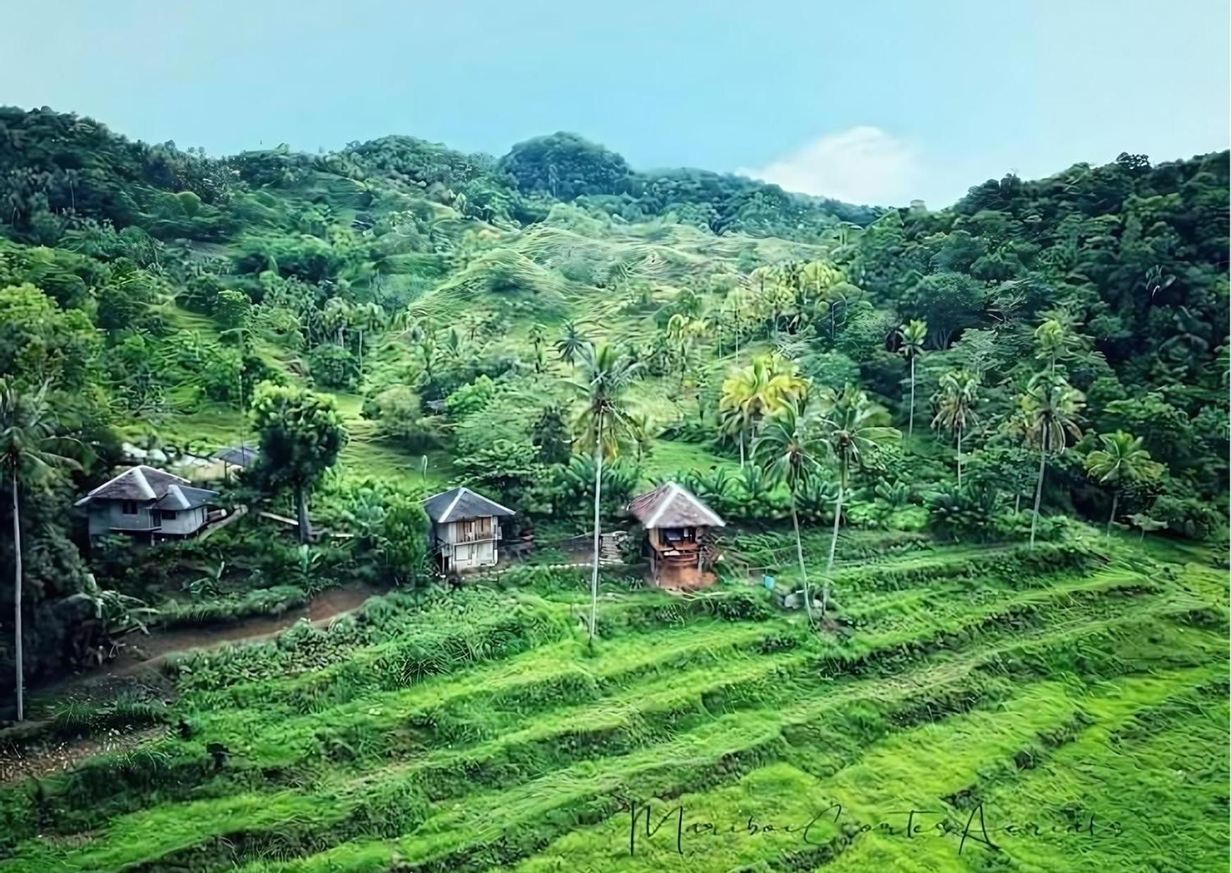 Canjahawon Nipa Hut Homestay Siquijor Exterior foto