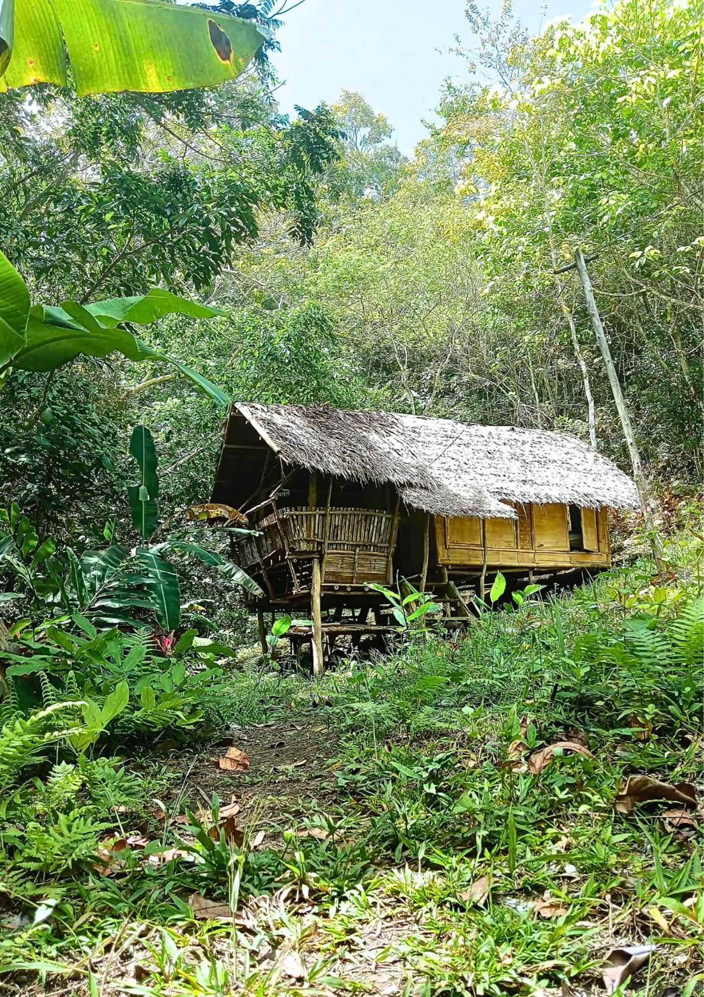 Canjahawon Nipa Hut Homestay Siquijor Exterior foto