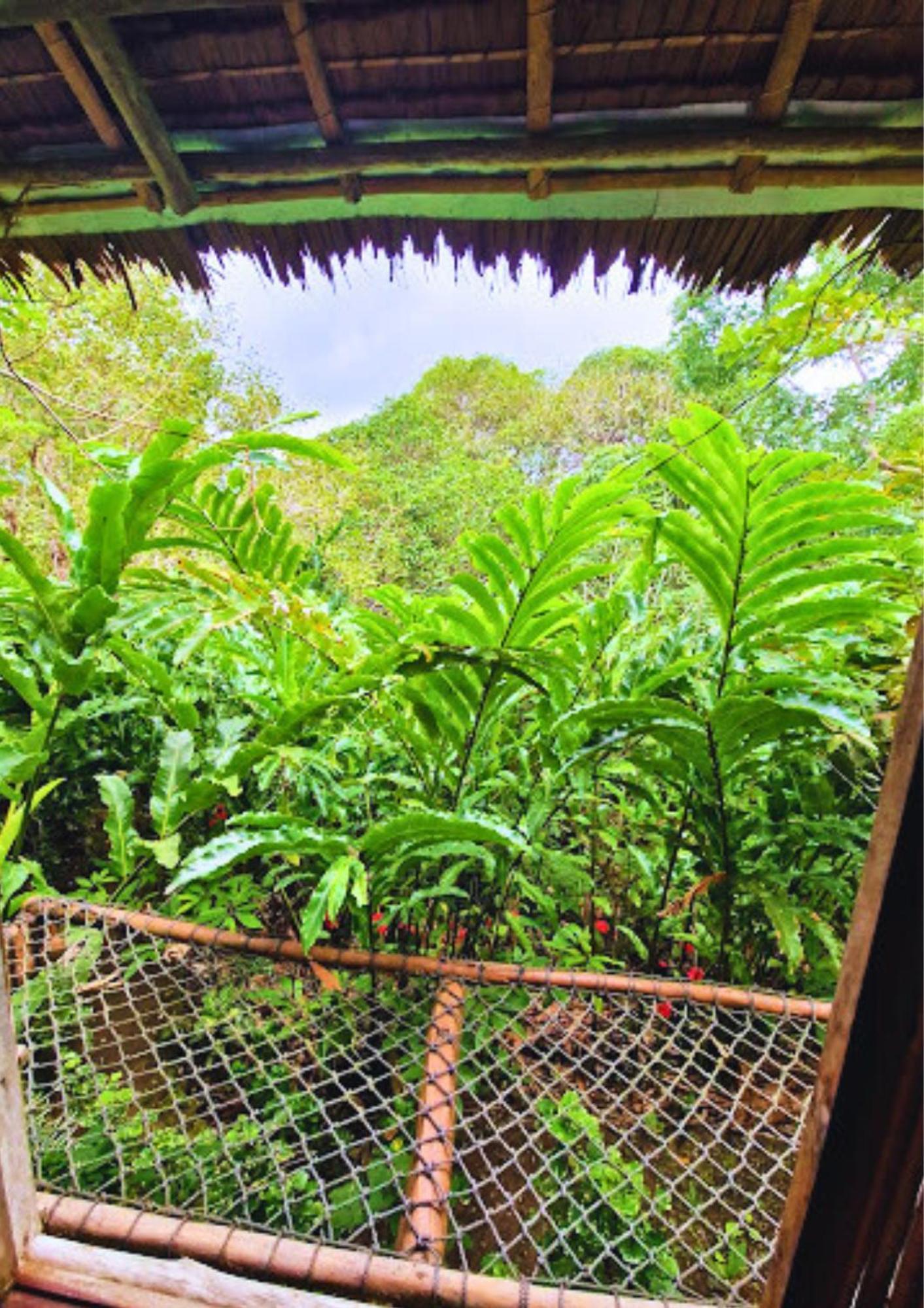 Canjahawon Nipa Hut Homestay Siquijor Exterior foto