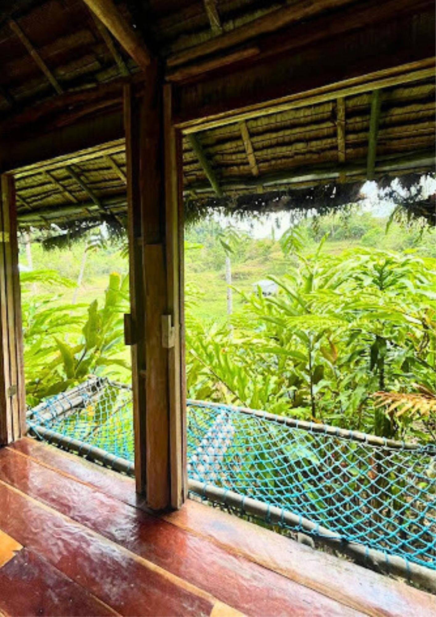 Canjahawon Nipa Hut Homestay Siquijor Exterior foto